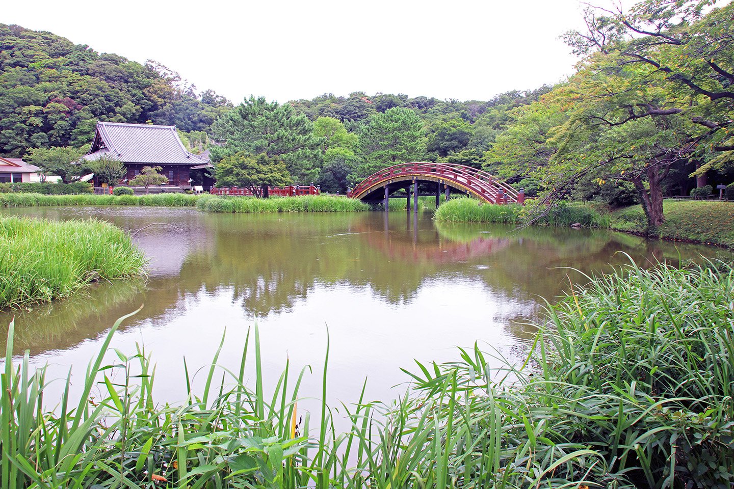 🌳 문고의 숲(분코노모리) 이미지 7